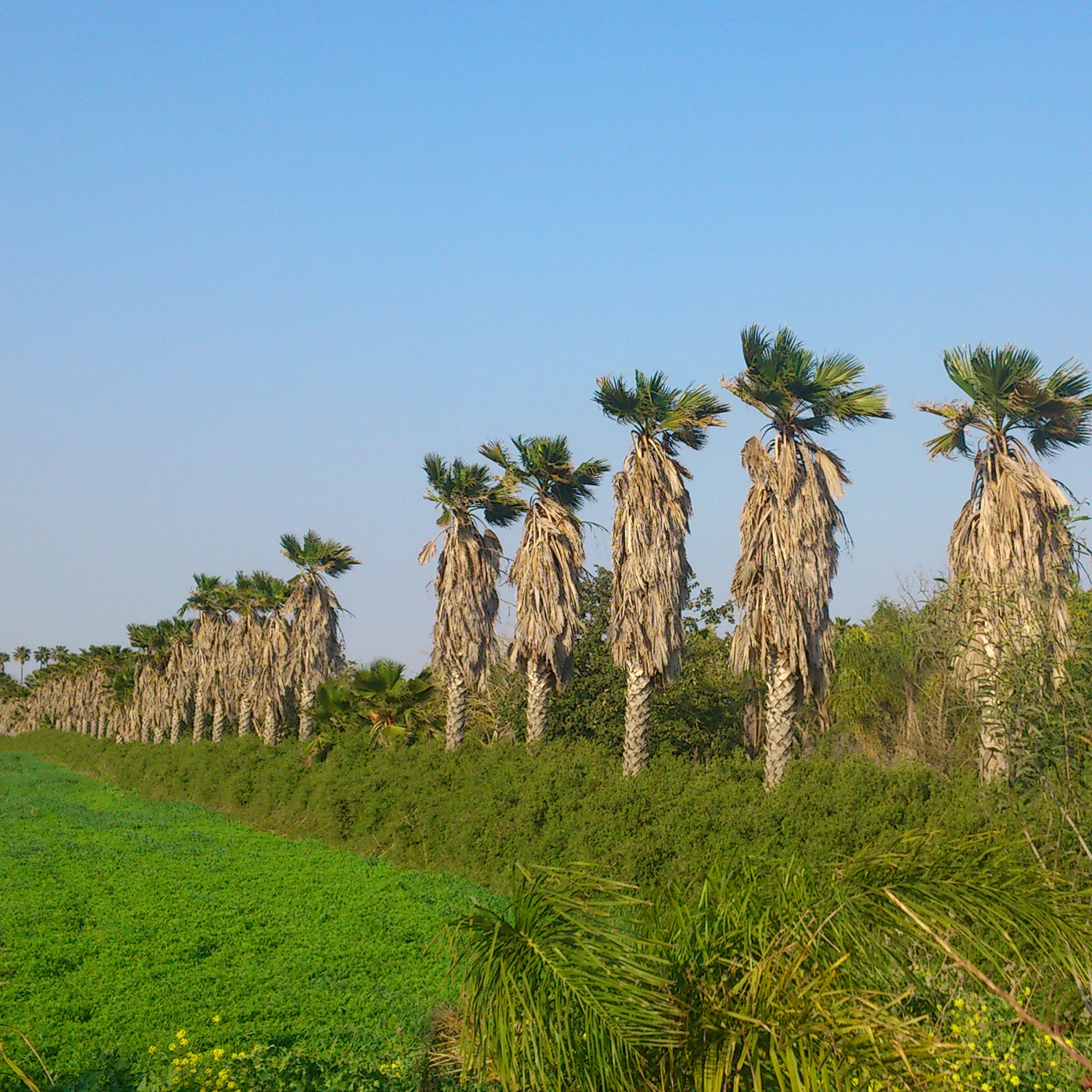 Internship at Holon Institute of Technology in Israel by Filip Dioszegi - Illustrated by Filip Dioszegi - Ourboox.com