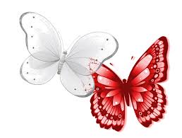 שלושה פרפרים by rotem tzvi - Illustrated by רותם צבי - Ourboox.com