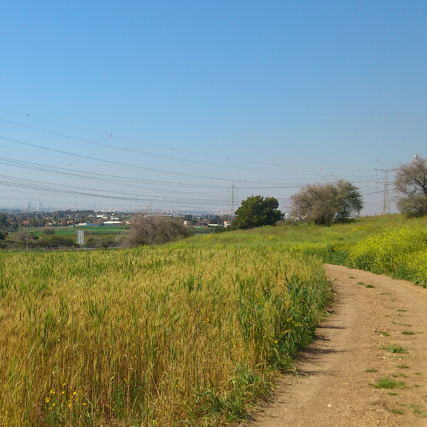 Internship at Holon Institute of Technology in Israel by Filip Dioszegi - Illustrated by Filip Dioszegi - Ourboox.com