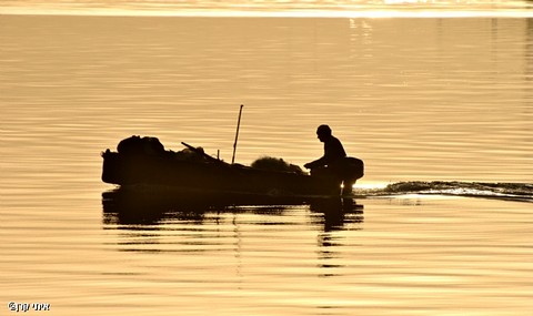 הדיג והים by hila gershtein - Ourboox.com