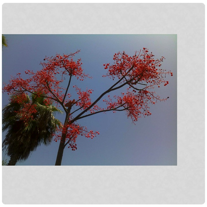 More Meaning of Red by Stephen Pohlmann - Illustrated by Stephen Pohlmann - Ourboox.com