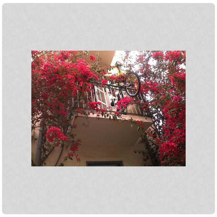 More Meaning of Red by Stephen Pohlmann - Illustrated by Stephen Pohlmann - Ourboox.com