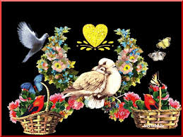 اماني عميرة ………تربية خاصة ………. by amaneamera - Ourboox.com