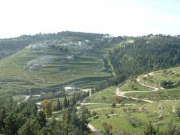 الجبال في فلسطين by wallajaffal - Ourboox.com