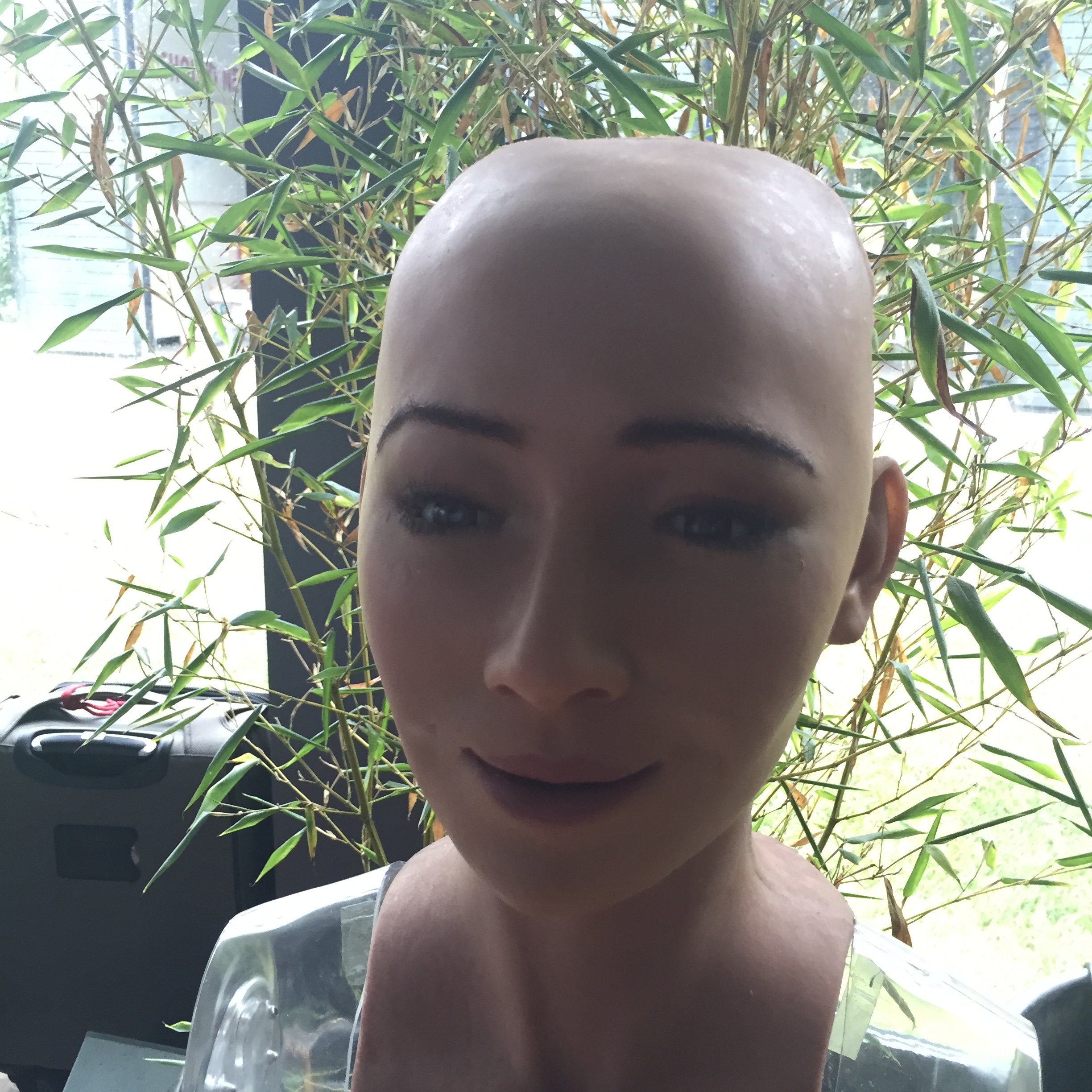 Ten things I never did until I went to Kinnernet Italia 2015 by Mel Rosenberg - מל רוזנברג - Ourboox.com