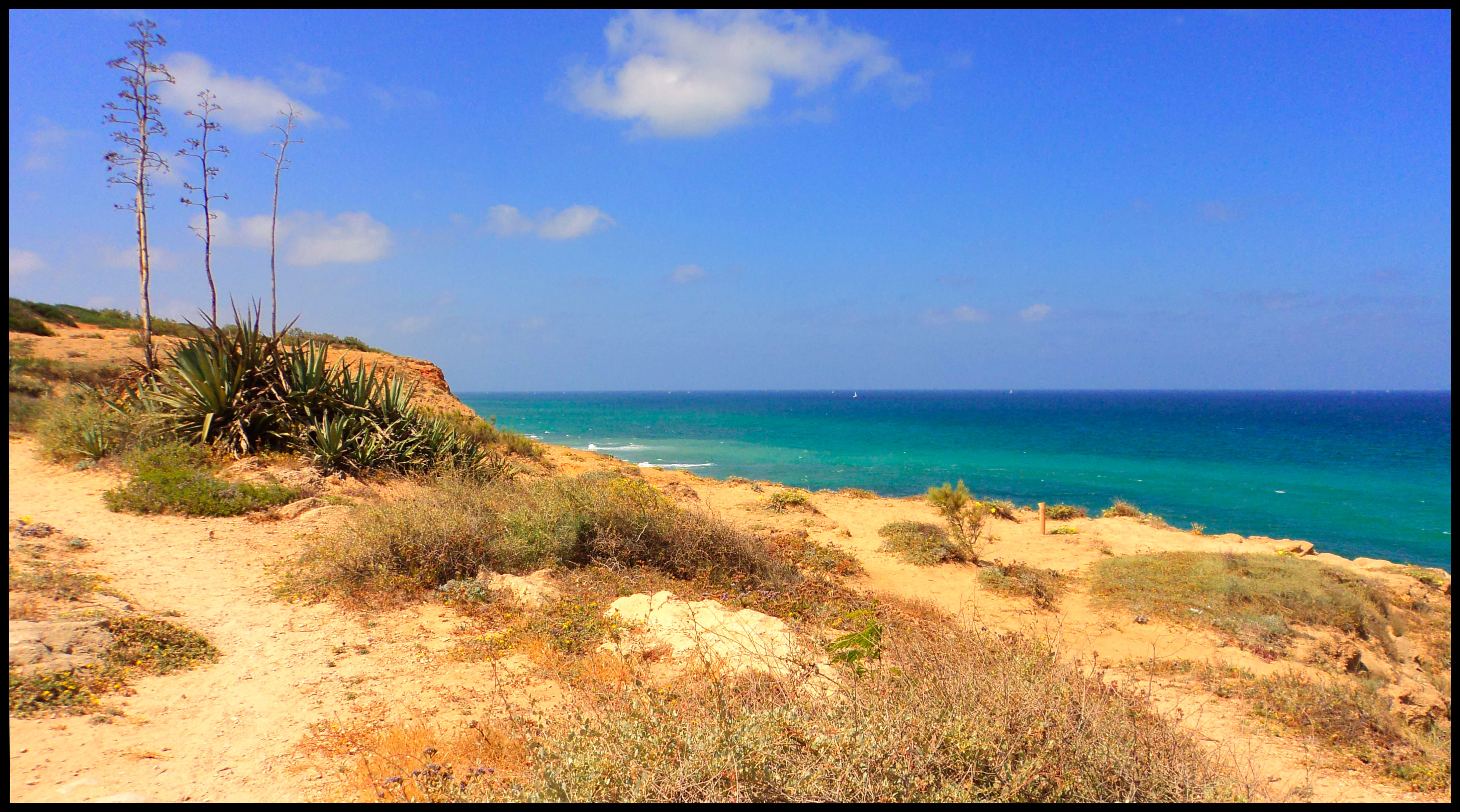 ארץ ישראל by zarkiev mazal - Ourboox.com