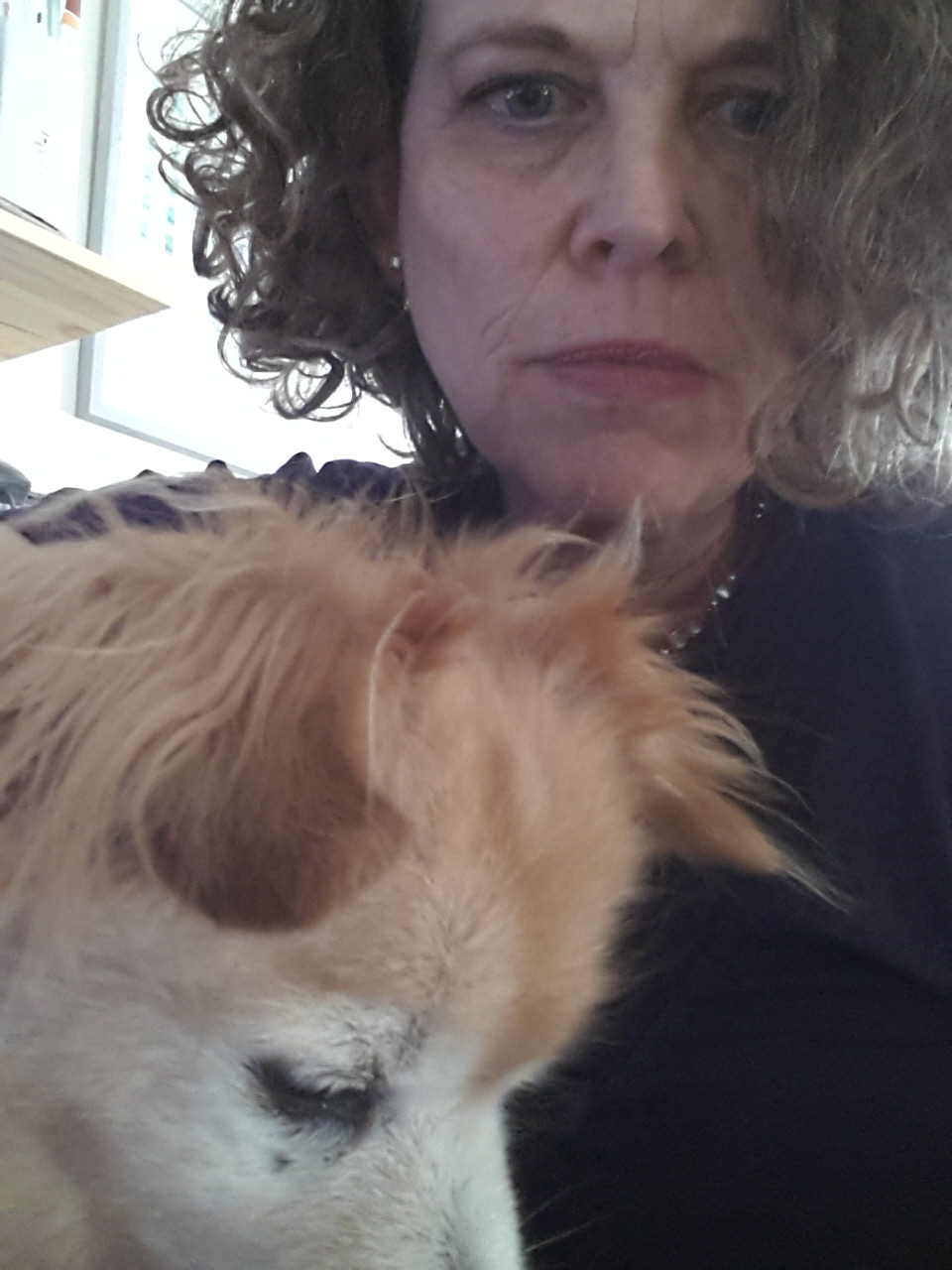 שירה by Dana Fischer-Shachor - Ourboox.com