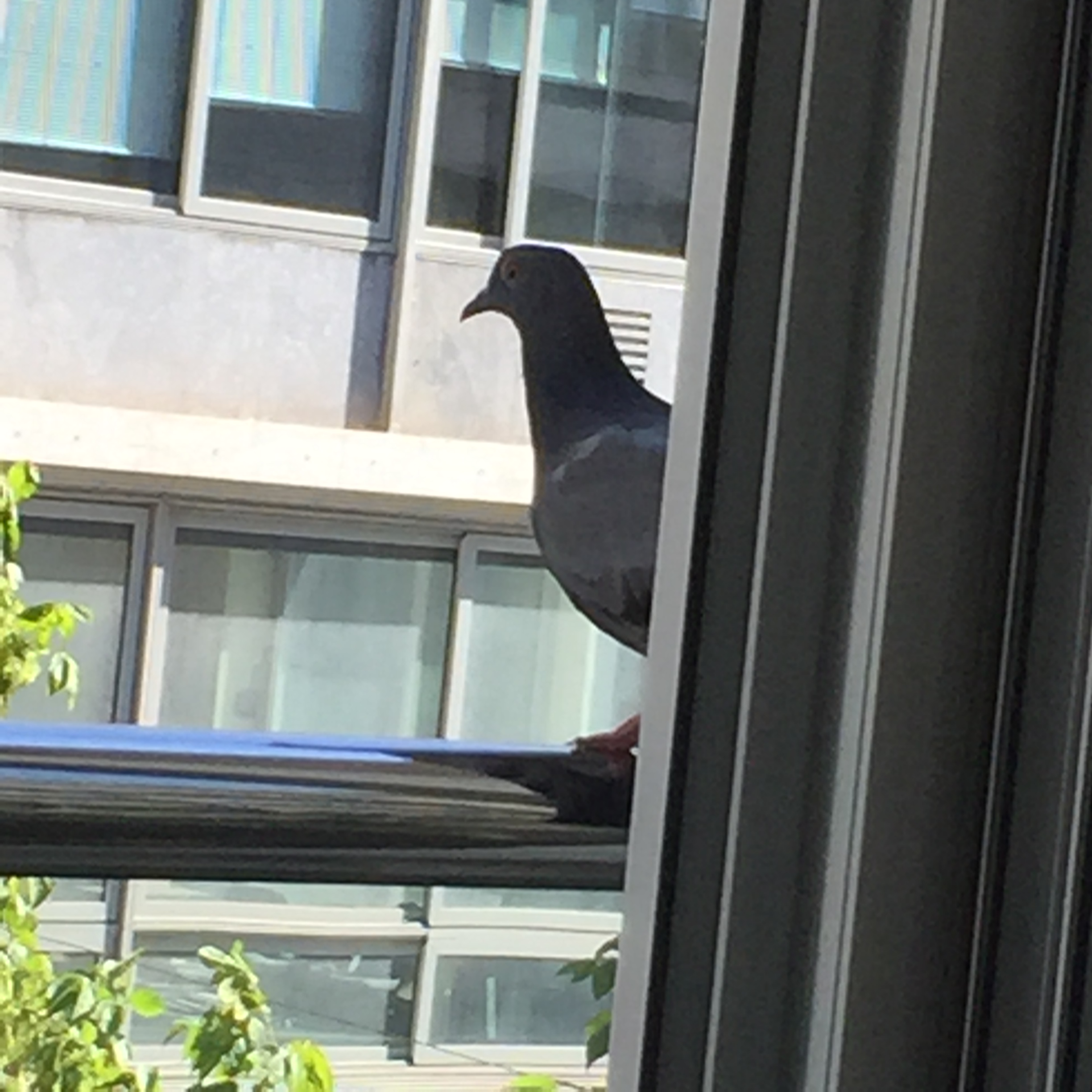 Smiling is Divine by Mel Rosenberg - מל רוזנברג - Illustrated by cover: Gottlieb, William P., 1917-, photographer. [Portrait of Ella Fitzgerald, New York, N.Y., ca. Nov. 1946] - Ourboox.com