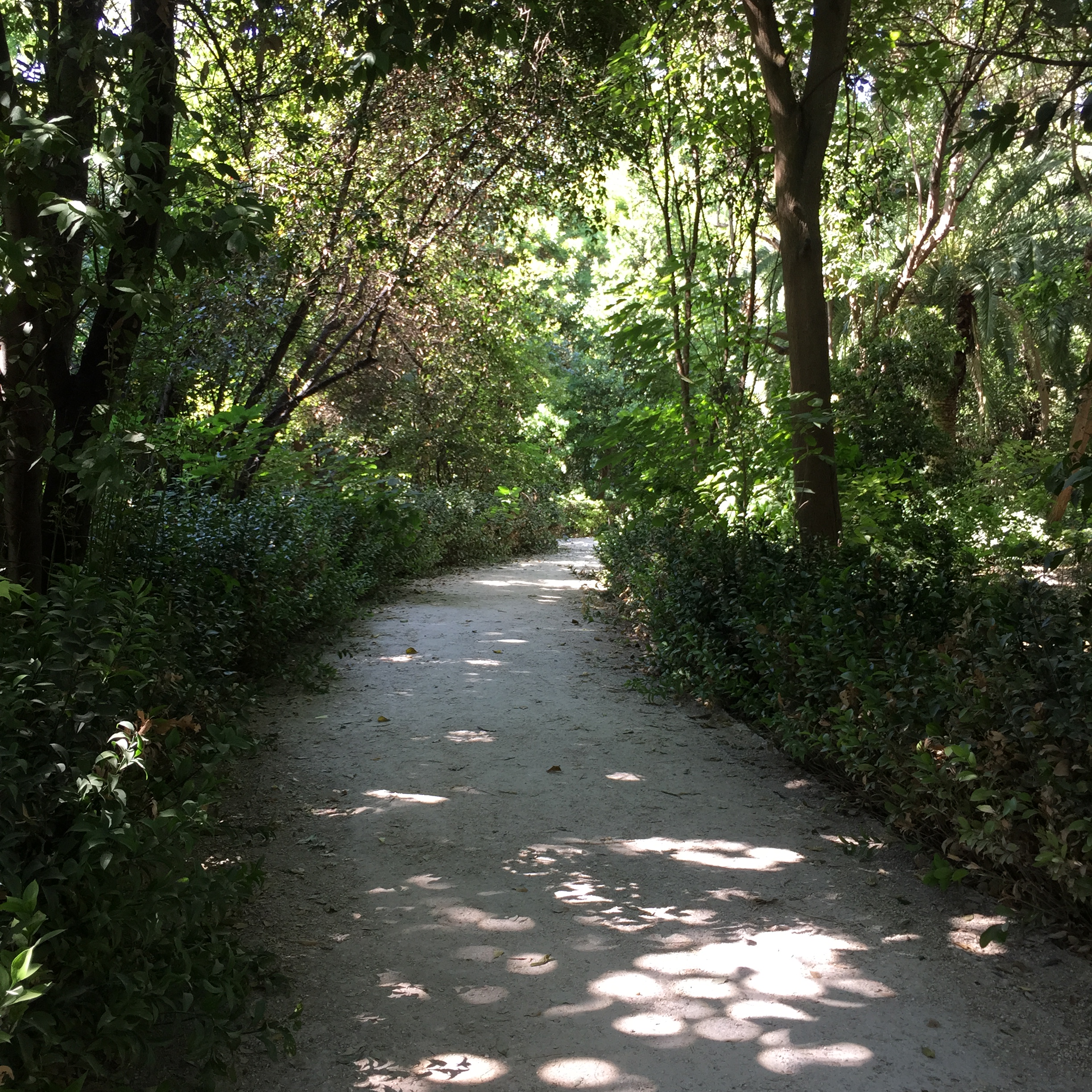 The Road Forsaken by Mel Rosenberg - מל רוזנברג - Ourboox.com