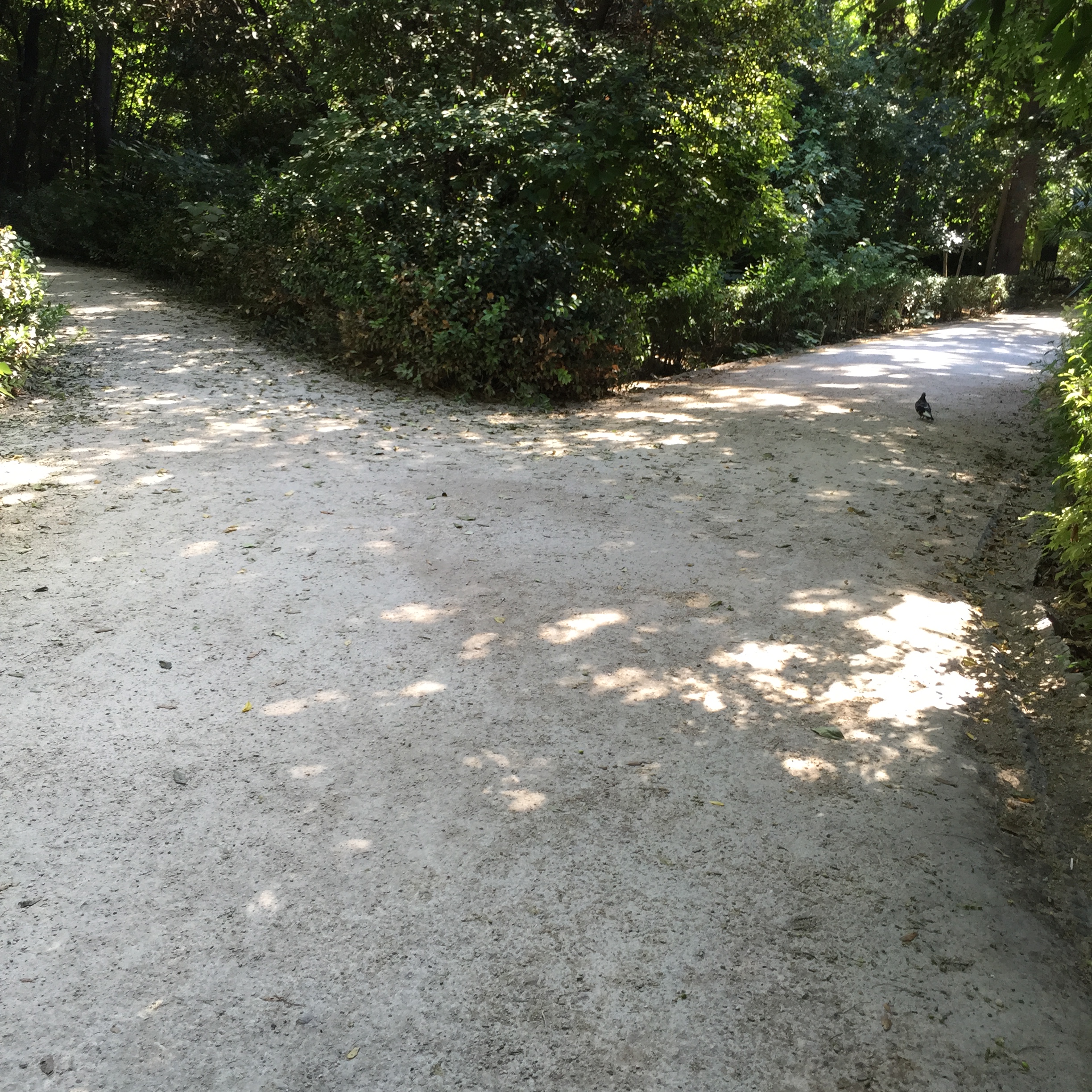 The Road Forsaken by Mel Rosenberg - מל רוזנברג - Ourboox.com