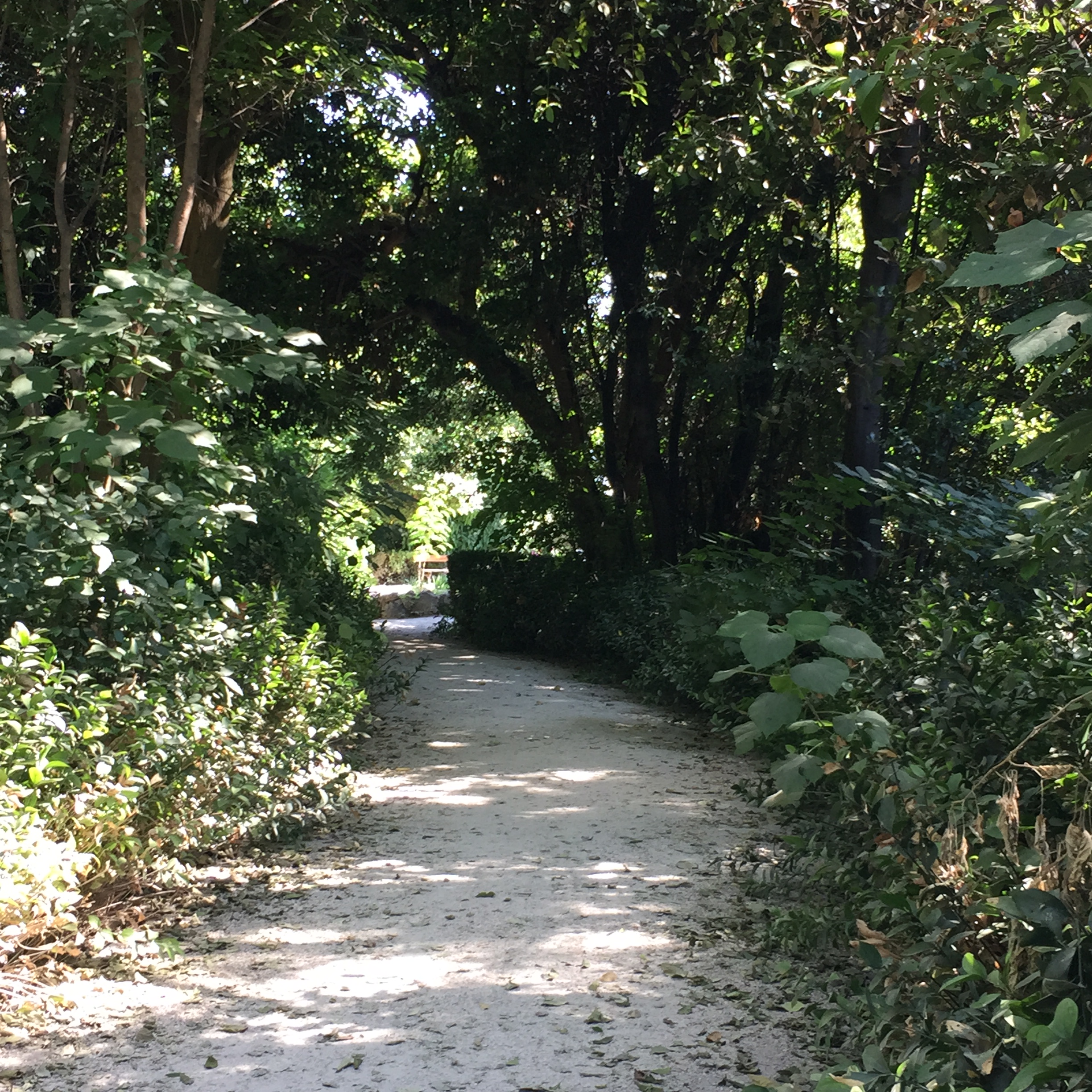 The Road Forsaken by Mel Rosenberg - מל רוזנברג - Ourboox.com