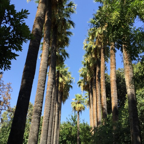 The Road Forsaken by Mel Rosenberg - מל רוזנברג - Ourboox.com