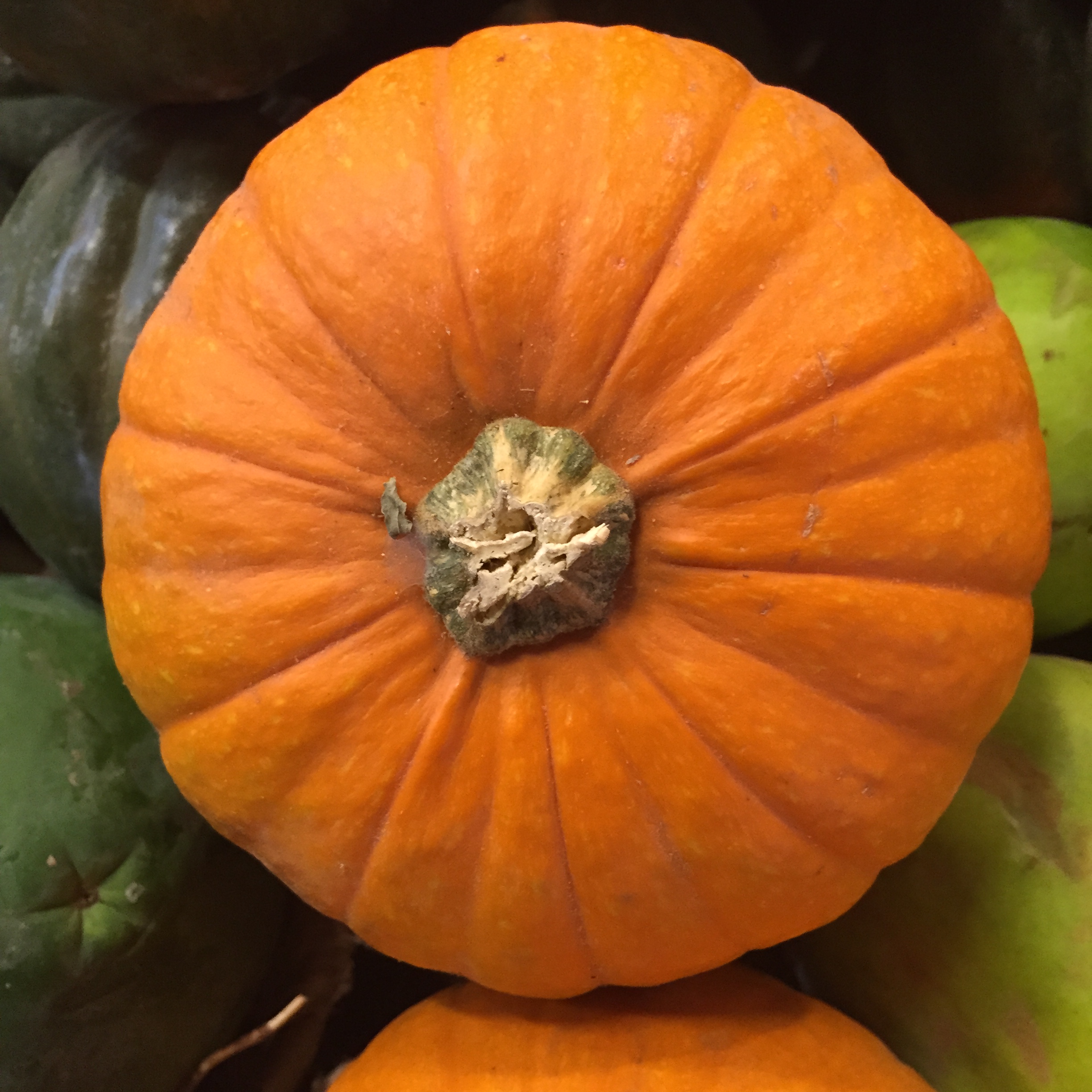 Making the Rounds by Mel Rosenberg - מל רוזנברג - Ourboox.com