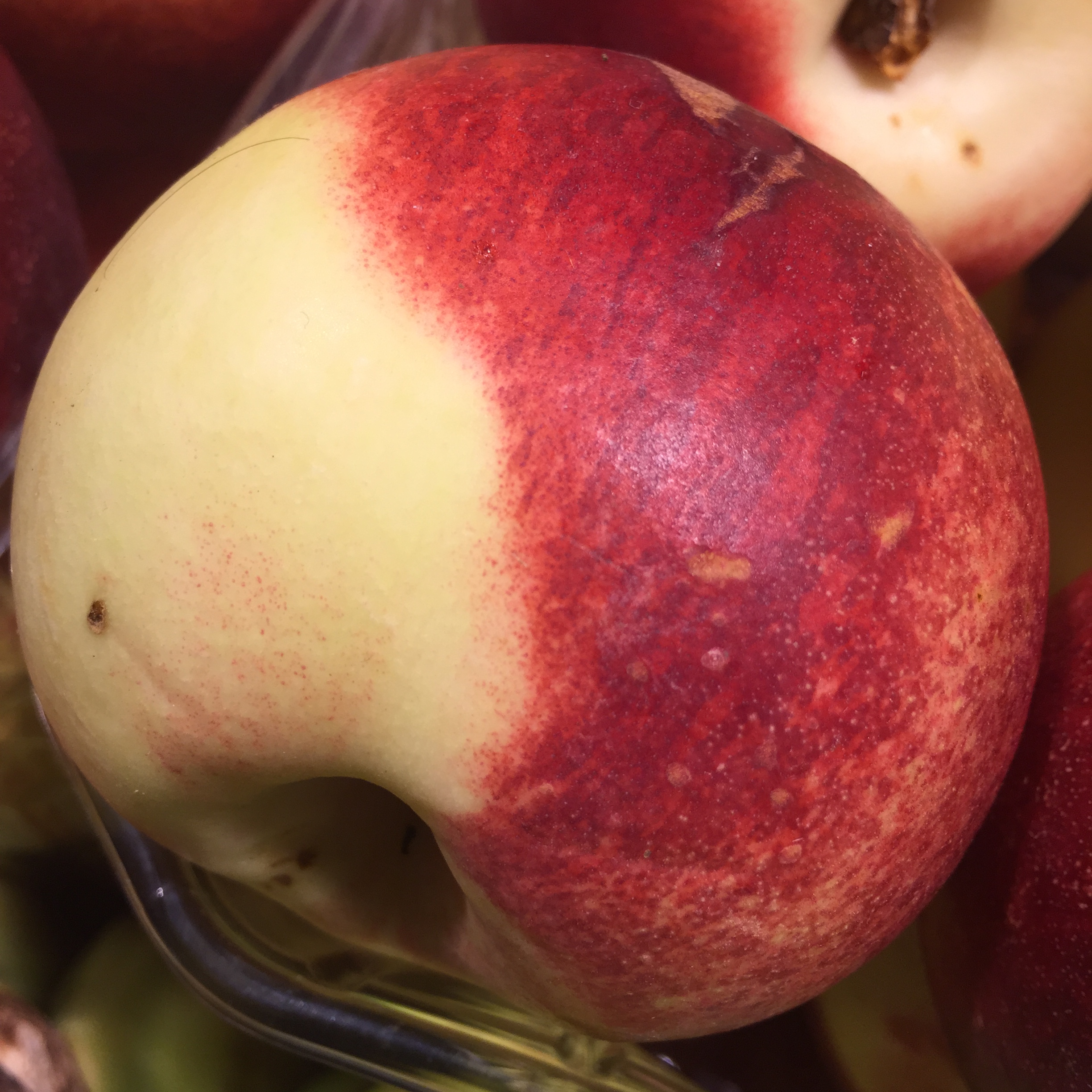 Making the Rounds by Mel Rosenberg - מל רוזנברג - Ourboox.com