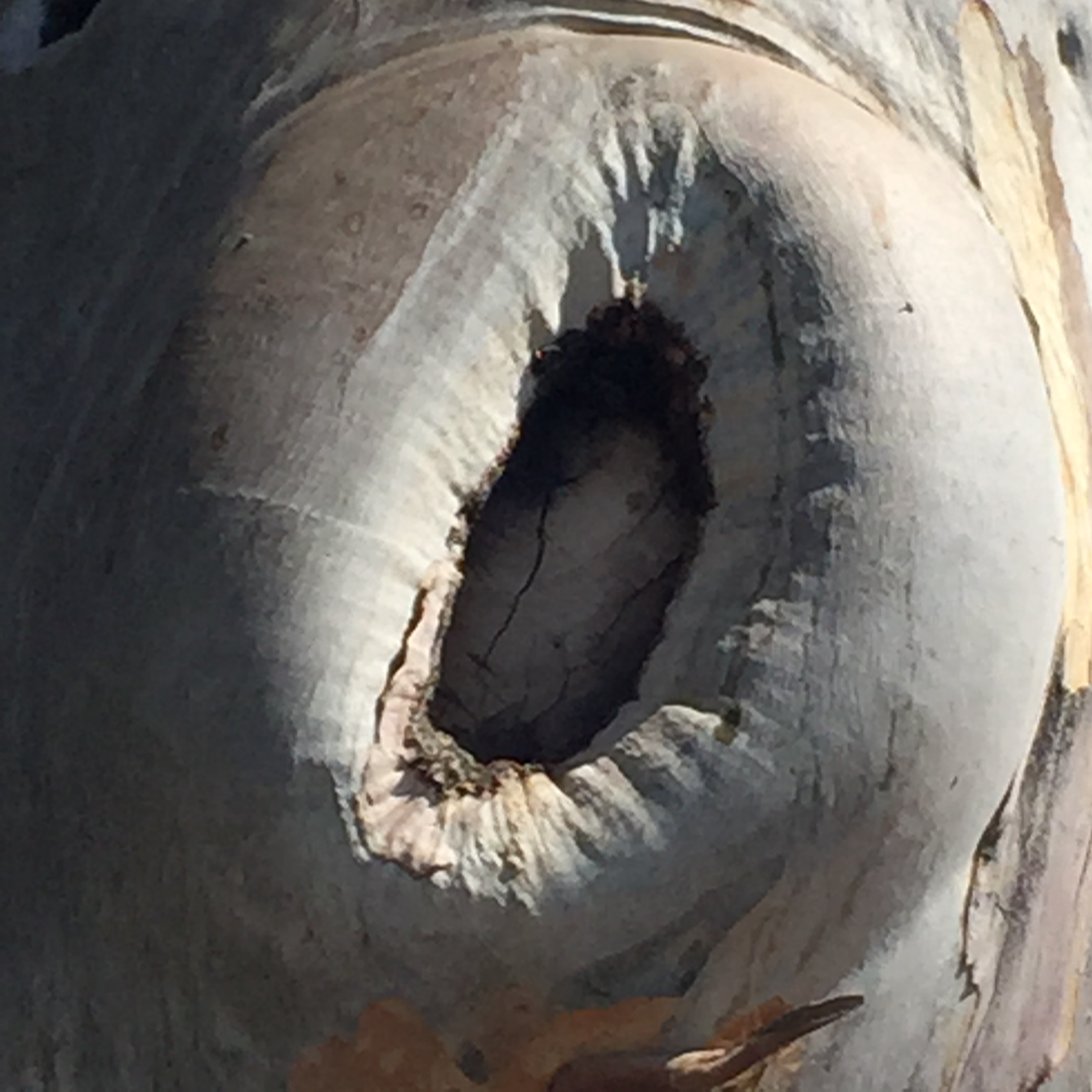 Making the Rounds by Mel Rosenberg - מל רוזנברג - Ourboox.com