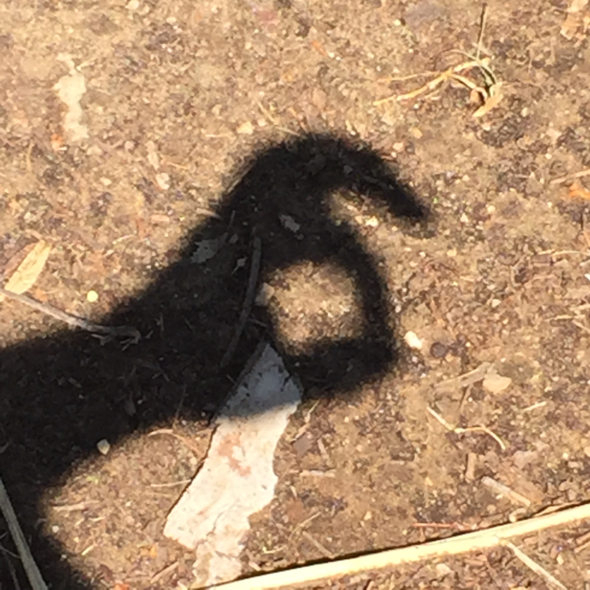 Making the Rounds by Mel Rosenberg - מל רוזנברג - Ourboox.com