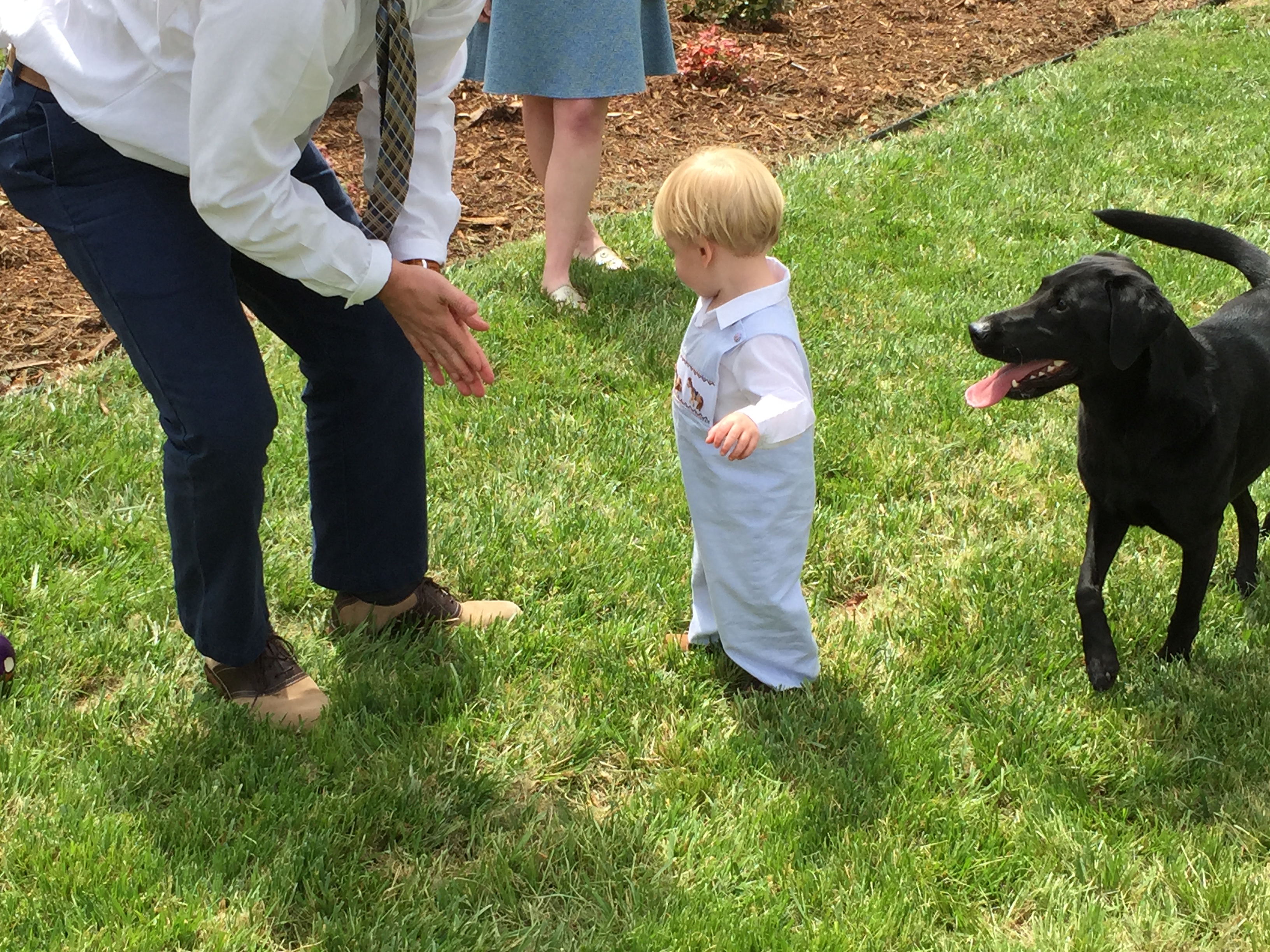 Reeves by Sandra Maddox - Illustrated by GiGi - Ourboox.com