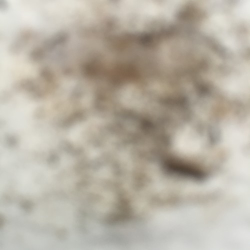 My New Dog by tyler perez - Ourboox.com