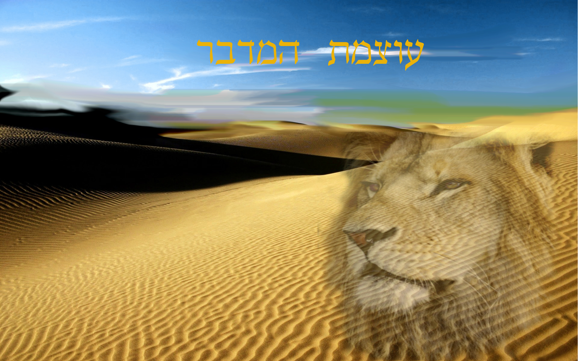 ג’ון רונן ספר העבודות שלי by Lehava Or Yehuda - Ourboox.com