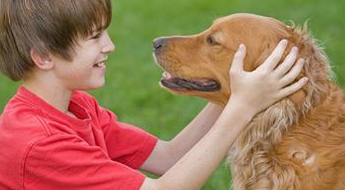 כלבים by orly - Ourboox.com