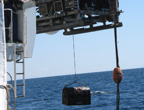 התיבה הגנובה by tal dayan - Illustrated by tal dayan - Ourboox.com