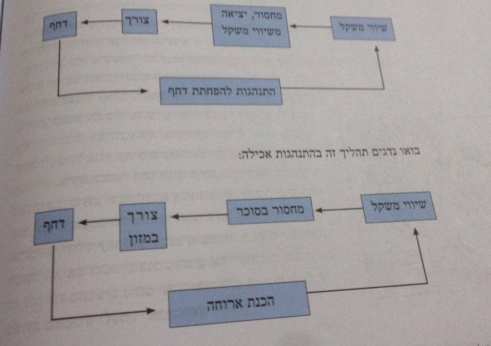 תיאוריית הפחתת הדחף :) by natalie and hadas - Ourboox.com