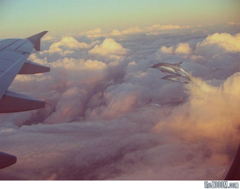 The flight into a new life. by EkaterinaMainagasheva  - Ourboox.com