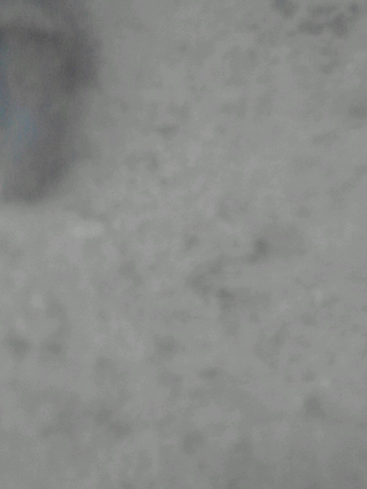 צפרות ברעות by reem - Illustrated by ילדי העשרה הם : ליאם ראם עומר רון שון ויצחק - Ourboox.com