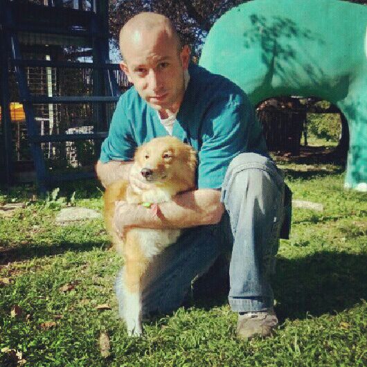 כלבים by orly - Ourboox.com