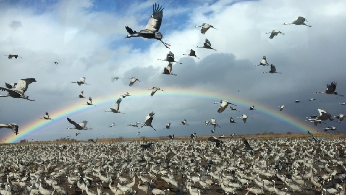 בריאת העולם by hadas weiner - Illustrated by הדס ירושלמי - Ourboox.com