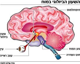 מניע הרעב by orya - Illustrated by הדר ביטון ואוריה קרוק - Ourboox.com