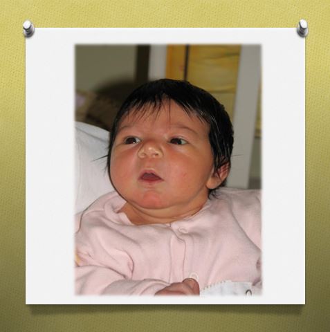 סיפורי חנוכה של ילדי ד’ רקפת by revital vitman - Illustrated by רויטל ויטמן - Ourboox.com