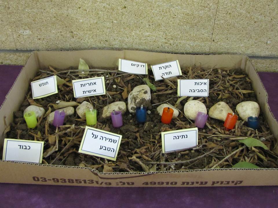 תלמידי בית ספר שיזף אור יהודה מעצבים חנוכיות, נרות, סביבונים וכדים בהלימה לערכים by אילן - Ourboox.com