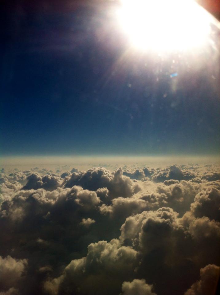 נפלאות הבריאה by ligi - Illustrated by גילי אברג