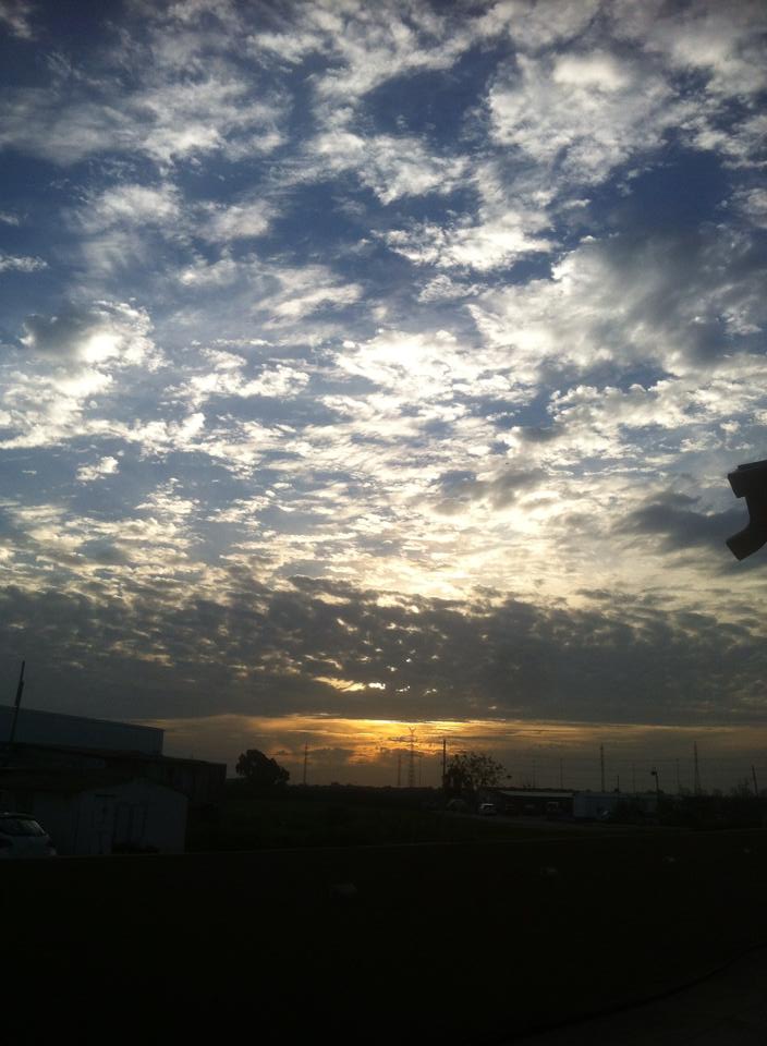 נפלאות הבריאה by ligi - Illustrated by גילי אברג