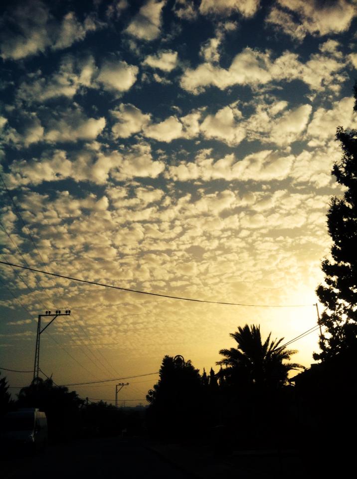 נפלאות הבריאה by ligi - Illustrated by גילי אברג