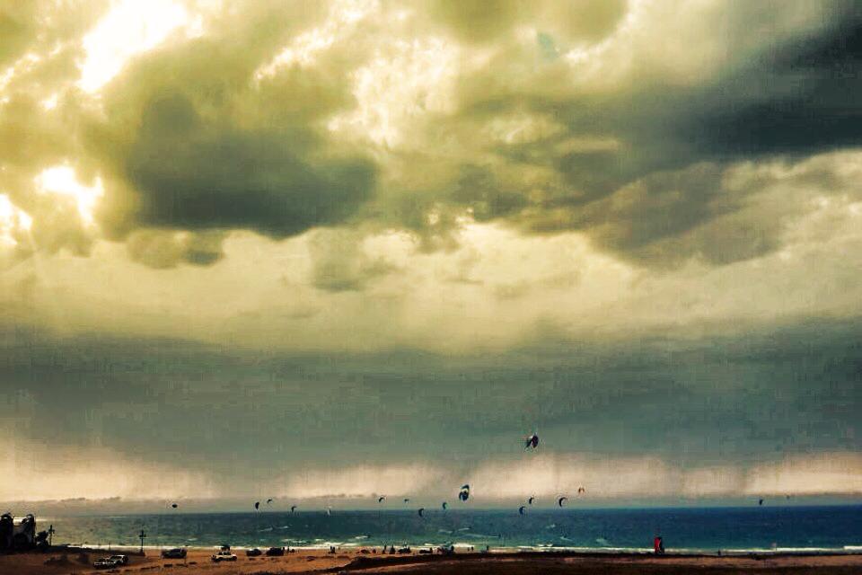 נפלאות הבריאה by ligi - Illustrated by גילי אברג