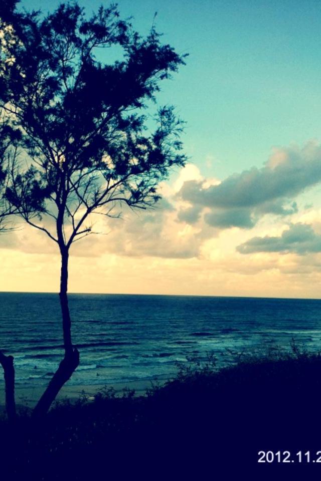 נפלאות הבריאה by ligi - Illustrated by גילי אברג