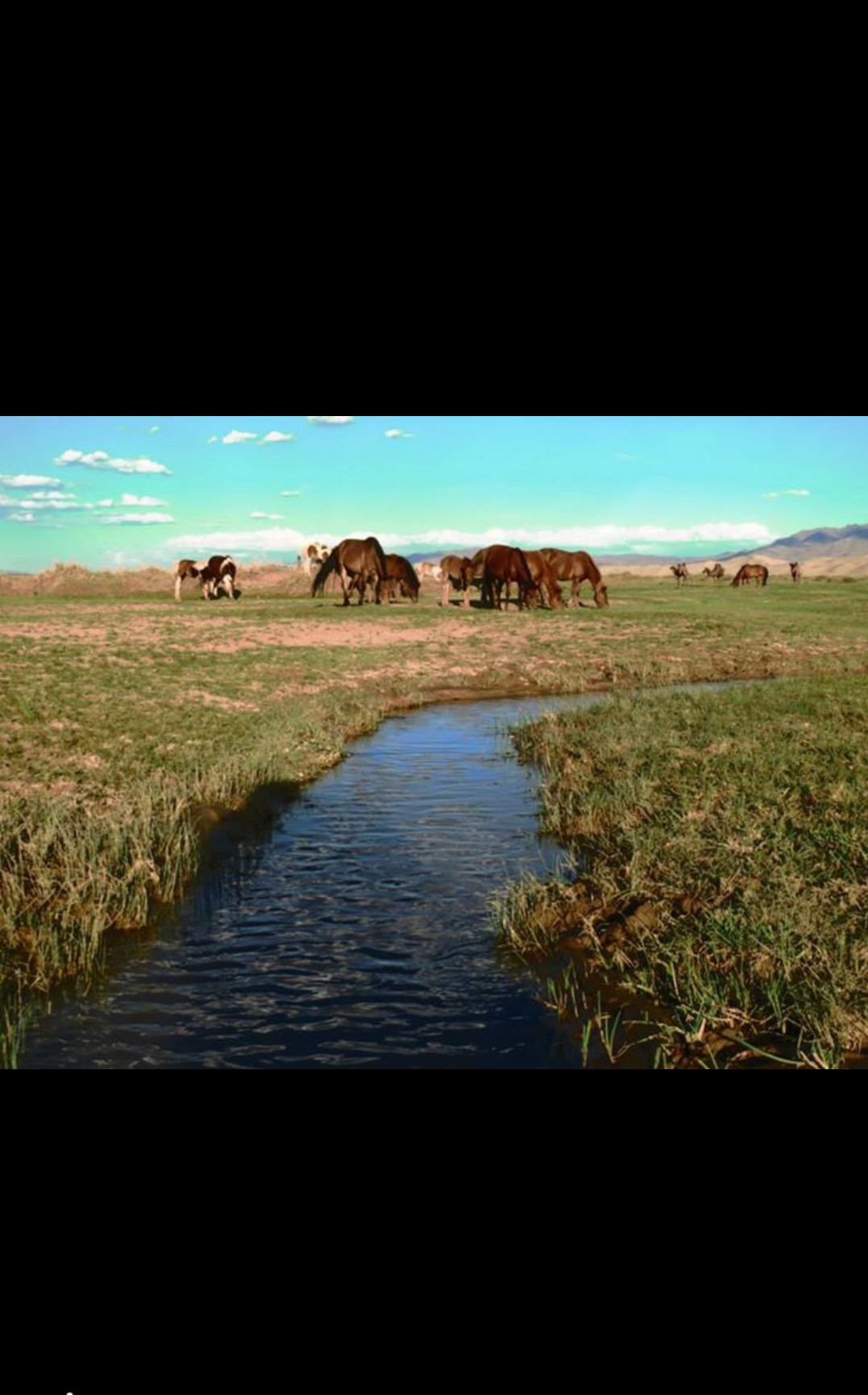 Tour after army service by dudiforer - Illustrated by Dudi Forer - Ourboox.com