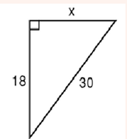 Animals by sihamj - Ourboox.com