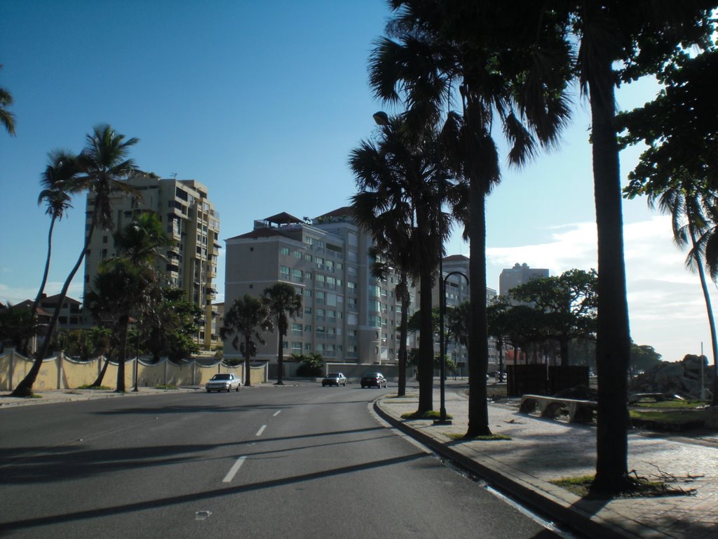 Vacation at Santo Domingo By: Juan Patel by Wade Wilson - Ourboox.com