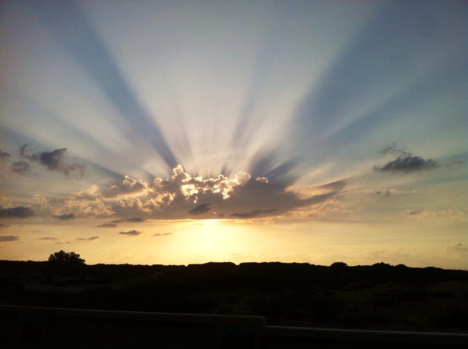 נפלאות הבריאה by ligi - Illustrated by גילי אברג