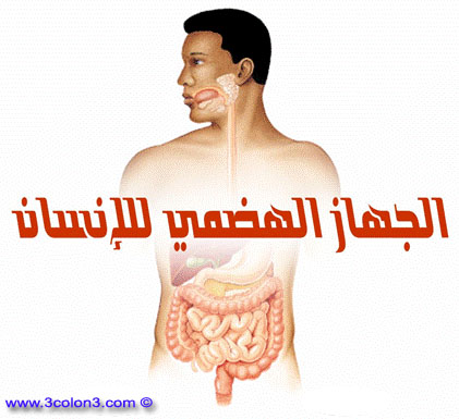 الجهاز الهضمي في الانسان by hani sandouka - Ourboox.com