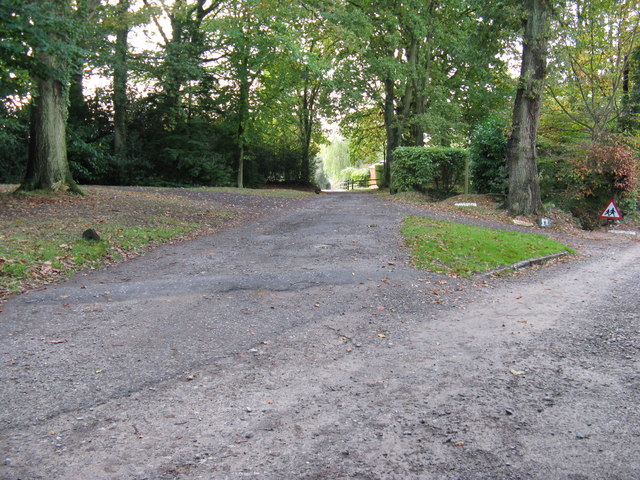 The Road not Taken by Yael Bittan - Ourboox.com