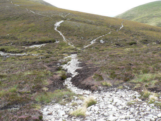 The Road Not Taken by Rachel Mizrachi - Ourboox.com