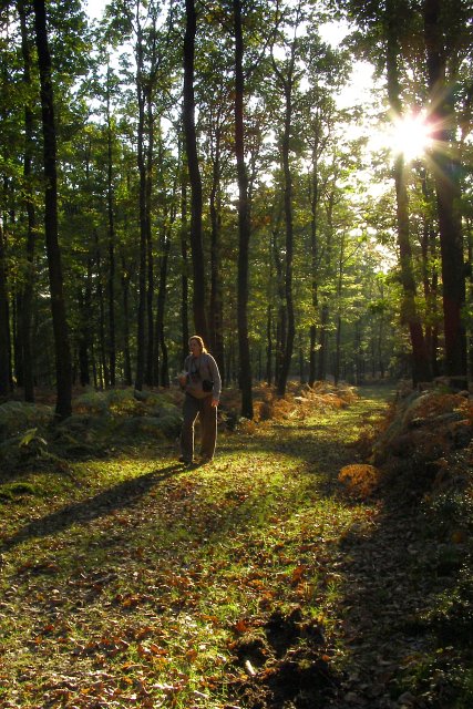 The Road Not Taken by Rachel Mizrachi - Ourboox.com