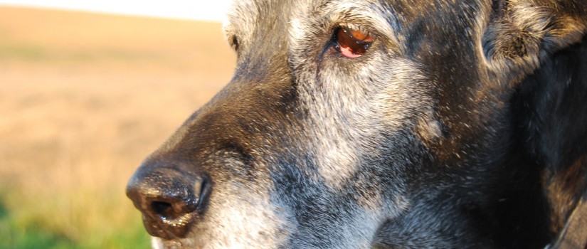 THE MOMENT YOU REALIZE THAT … by linoy - Illustrated by Orpaz, Danielle Shimony, linoy Saul, Dudu Greenberg - Ourboox.com