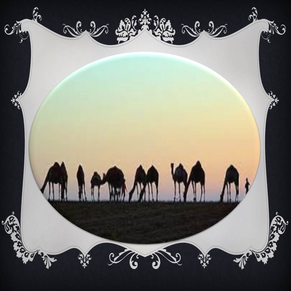 סיפורי זיכרון חנוכה של ילדי ד’ תפוח by maayan - Illustrated by Maayan elkanati - Ourboox.com