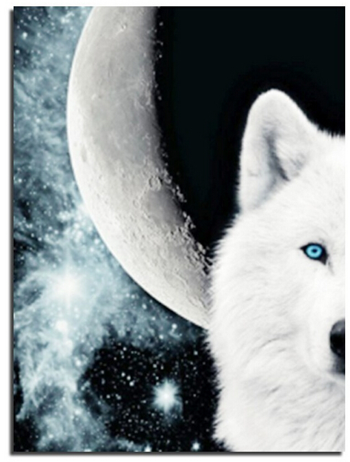 פנג הלבן by amit sivan - Illustrated by עמית סיון - Ourboox.com