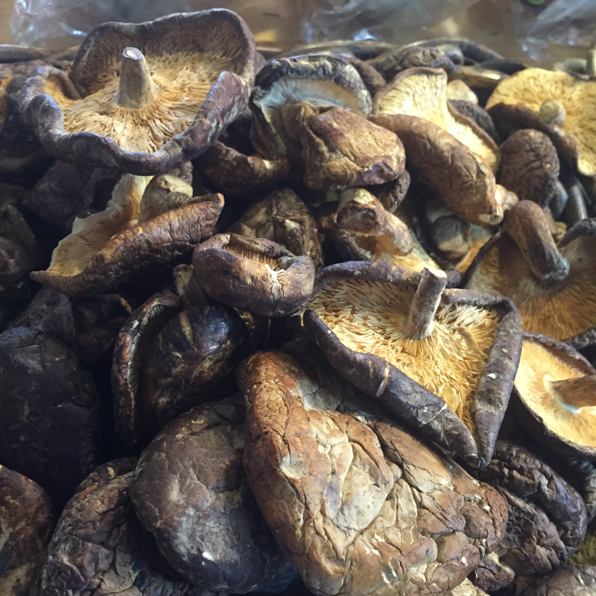 Market Shapes and Colors by Mel Rosenberg - מל רוזנברג - Ourboox.com